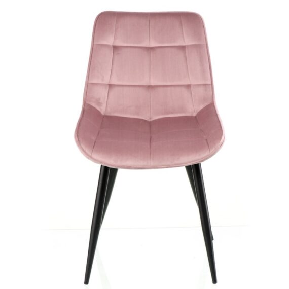 stilec-damask-pouder (1)